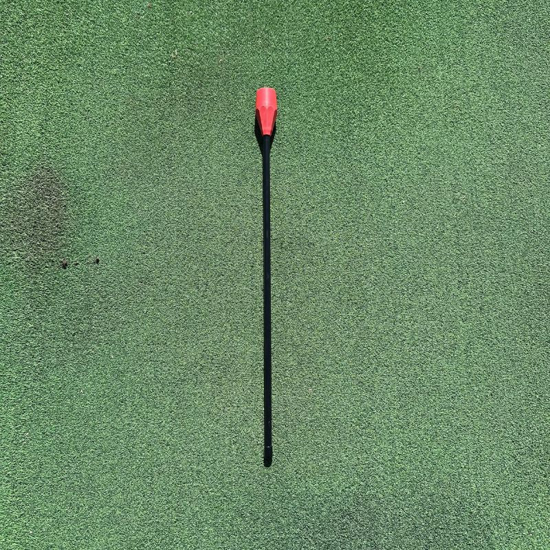 Chip Trainer Stick